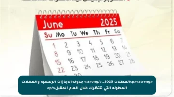 <p><strong>العطلات 2025..</strong> جدولة الإجازات الرسمية والعطلات المطولة التي تنتظرك خلال العام المقبل</p>